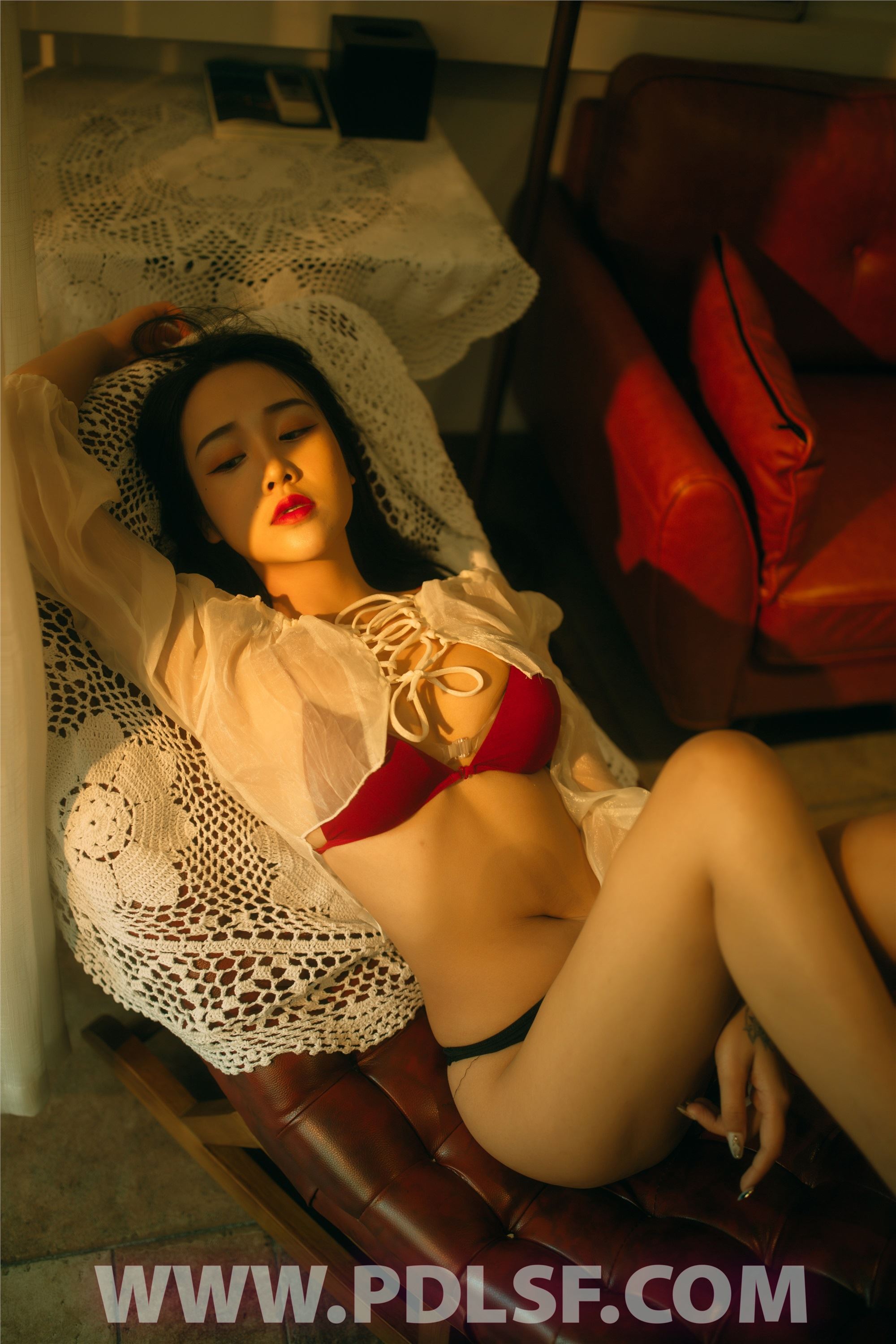 PDL潘多拉 2020.05.02 专辑No.289